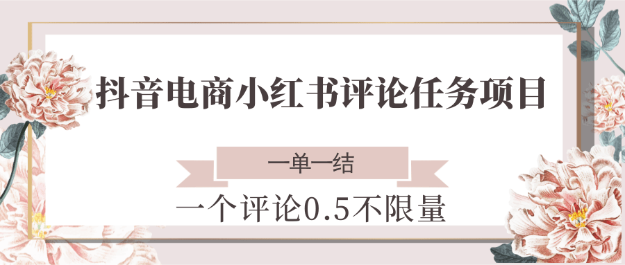 抖音电商小红书评论任务项目，一个评论0.5，一单一结 不限量-驿想项目网