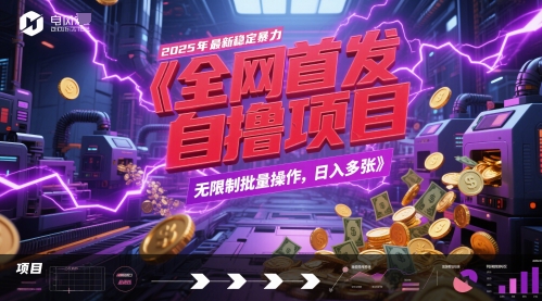 全网首发，2025年最新稳定暴力全自动自撸项目，无限制批量操作，日入多张【揭秘】-驿想项目网