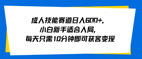 成人技能赛道日入多张，小白新手适合入局，每天只需10分钟即可获客变现-驿想项目网