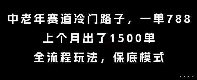 中老年赛道冷门路子，一单788，上个月出了1500单，全流程玩法，保底模式【揭秘】-驿想项目网