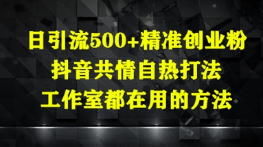 日引流500+精准创业粉，抖音共情自热打法，工作室都在用的方法-驿想项目网