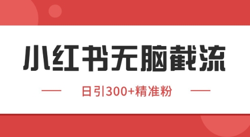 小红书截流同行客源，独家野路子获客玩法 日引200+暴力获客【揭秘】-驿想项目网