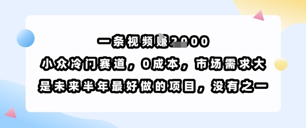一条视频挣1k，小众冷门赛道，0成本，市场需求大，是未来半年最好做的项目，没有之一-驿想项目网