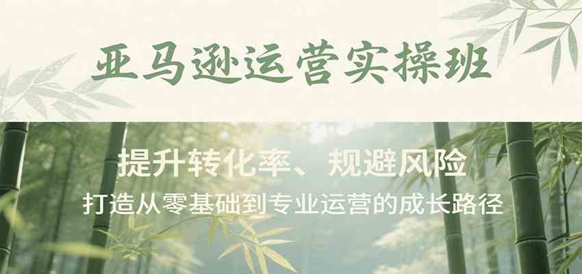亚马逊运营实操班，提升转化率、规避风险，打造从零基础到专业运营的成长路径-驿想项目网