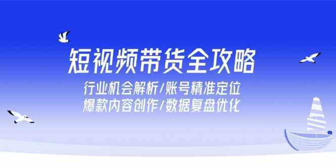 短视频带货全攻略，行业机会解析/账号精准定位/爆款内容创作/数据复盘优化-驿想项目网
