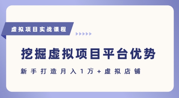 抓住虚拟项目各平台优势，新手轻松月入1W+(给出具体建议)-驿想项目网