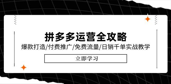 （15085期）拼多多运营全攻略，爆款打造/付费推广/免费流量/日销千单实战教学/6月更新-驿想项目网