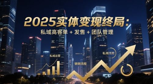 2025实体变现终局：私域高客单+发售+团队管理-驿想项目网