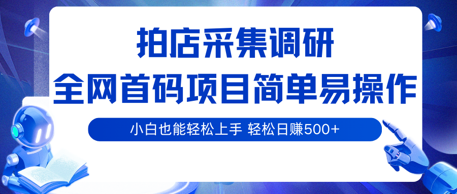 拍店采集调研，全网首码项目，简单易操作， 小白也能轻松上手，轻松日赚500+-驿想项目网