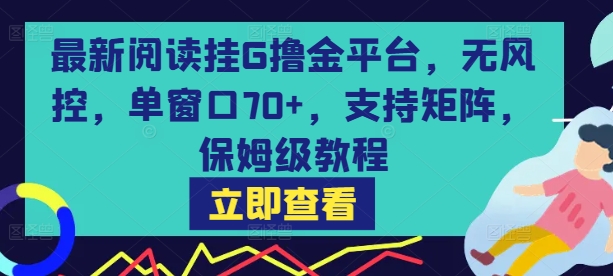 最新阅读挂G撸金平台，无风控，单窗口70+，支持矩阵，保姆级教程【揭秘】-驿想项目网
