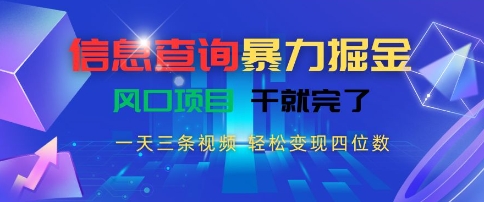 信息查询暴力掘金，一天三条视频，轻松变现四位数，风口项目干就完了【揭秘】-驿想项目网