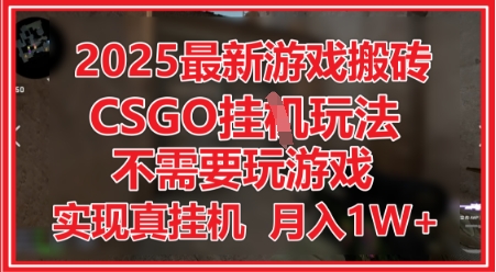 2025最新游戏搬砖，CSGO挂G，不需要玩游戏，实现真挂G，月入1W+【揭秘】-驿想项目网