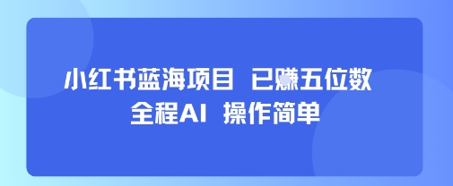小红书蓝海项目，全程AI，操作简单，已挣五位数-驿想项目网