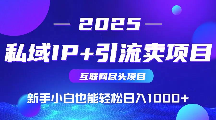 （15531期）2025网创尽头项目，私域IP+引流，新手小白也能在家日入1000+-驿想项目网