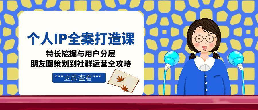 个人IP全案打造课，特长挖掘与用户分层，朋友圈策划到社群运营全攻略-驿想项目网