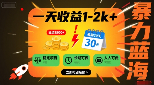 一天收益1-2k+ 稳定项目，暑期暴力蓝海项目，长期稳定，人人可做【揭秘】-驿想项目网