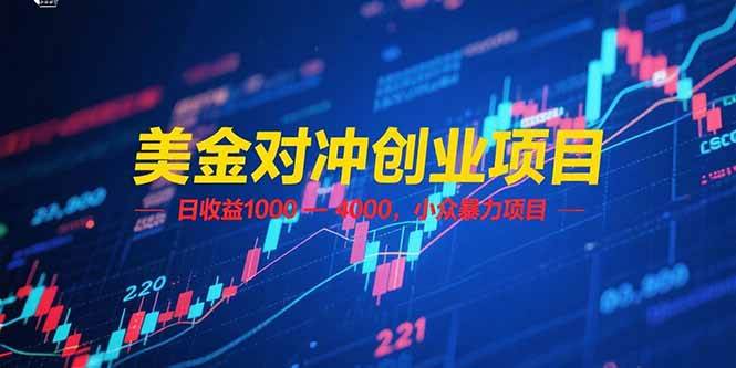 （15187期）美金对冲创业项目，日收益 1000 – 4000，小众暴力项目-驿想项目网