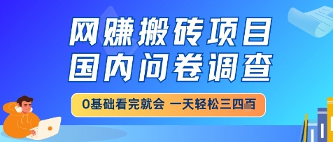 网创搬砖项目，国内问卷调查，小白轻松上手，一天三四张的也不难，干就完了【揭秘】-驿想项目网