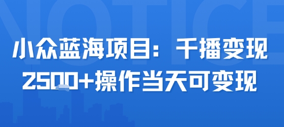 小众蓝海项目，千播变现2.5k+操作当天可变现-驿想项目网