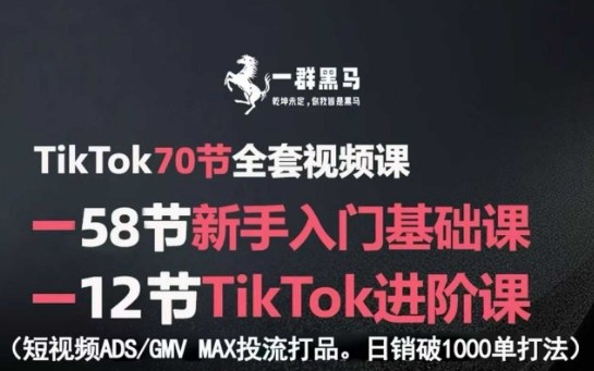 TikTok全套视频课，新手入门+进阶课，短视频ADS-GMV MAX投流打品，日销破1000单打法-驿想项目网