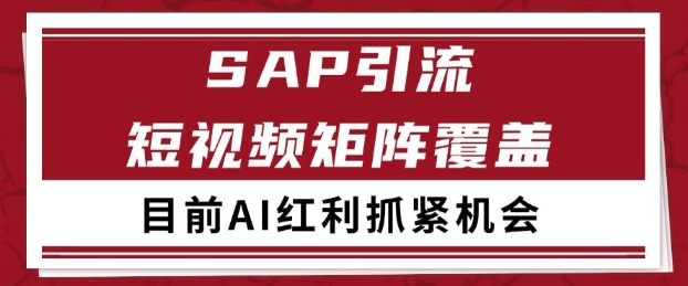 小红书某音sap赛道引流获客 自热矩阵日引200+【揭秘】-驿想项目网