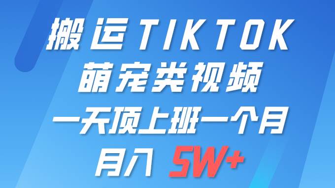 一键搬运TIKTOK萌宠类视频 一部手机即可操作 所有平台均可发布 轻松月入5W+-驿想项目网