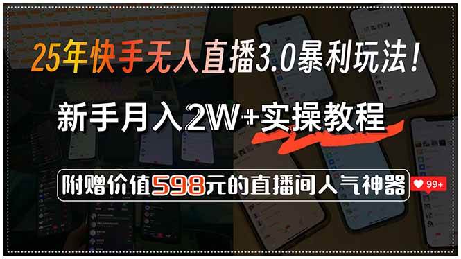 （15335期）25年快手无人直播3.0暴利玩法！，新手月入2W+实操教程，附赠价值598元…-驿想项目网