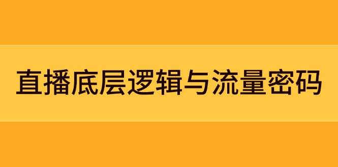 （14695期）直播底层逻辑与流量密码：定位模型+案例拆解，急速流承接与数据优化全攻略-驿想项目网