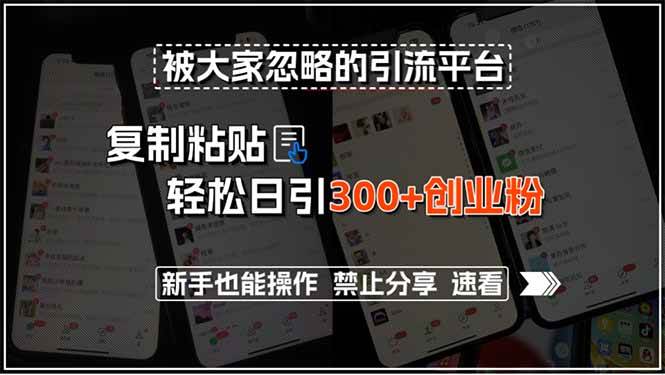 （15428期）被大家忽略的引流平台，复制粘贴轻松日引300+创业粉，新手也能操作，禁…-驿想项目网