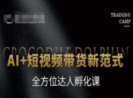 AI+短视频带货新范式，全方位达人孵化课-驿想项目网