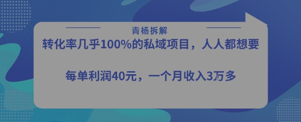 转化率最高的私域项目，每单利润40-50米，月入过1w-驿想项目网