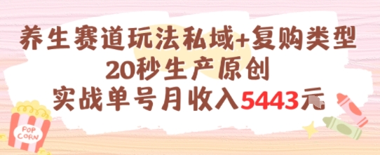 养生赛道玩法私域+复购类型，20秒生产原创实战单号月收入5k+-驿想项目网