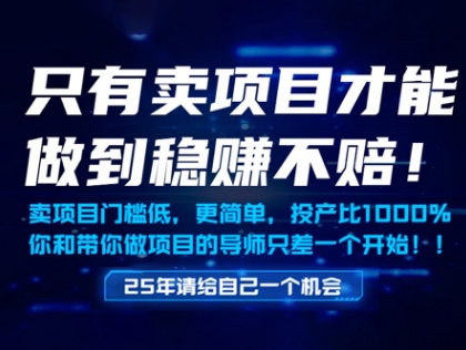 只有卖项目才能做到稳挣不赔，门槛低，更简单，你也可以年入百个W【揭秘】-驿想项目网