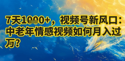 7天收益1k+，视频号新风口：中老年情感视频如何月入过W?-驿想项目网