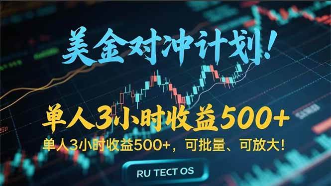（15321期）长久稳定的撸美金项目，平均3小时收入 500+，可公司实地考察实地操作！-驿想项目网
