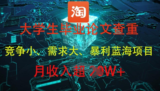 大学生毕业论文查重，暴利蓝海项目，月收入过1W+-驿想项目网