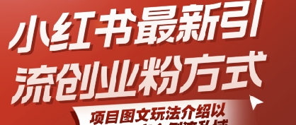 小红书最新引流创业粉方式，项目图文玩法介绍以及如何安全倒流私域-驿想项目网