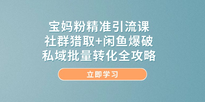 （14820期）宝妈粉精准引流课，社群猎取+闲鱼爆破，私域批量转化全攻略-驿想项目网