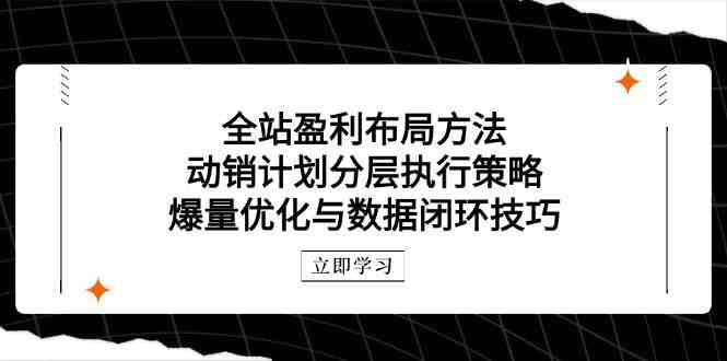 全站盈利布局方法：动销计划分层执行策略，爆量优化与数据闭环技巧-驿想项目网