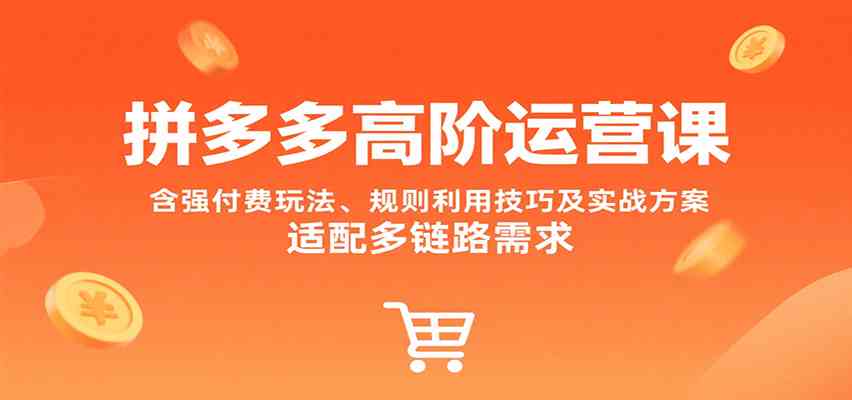 拼多多高阶运营课，含强付费玩法、规则利用技巧及实战方案，适配多链路需求-驿想项目网