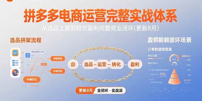 （15579期）拼多多电商运营完整实战体系，从选品上架到稳定盈利完整商业闭环(更新8月)-驿想项目网