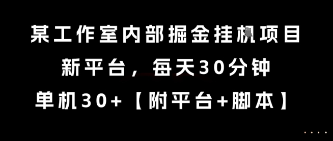 某工作室内部掘金挂G项目，新平台，每天30分钟，单机30+【揭秘】-驿想项目网