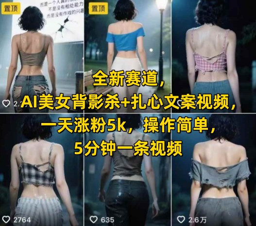全新赛道，AI美女背影杀+扎心文案视频，一天涨粉5k，操作简单，5分钟一条视频-驿想项目网
