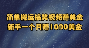简单搬运搞笑视频挣美金，新手一个月入1k美金-驿想项目网