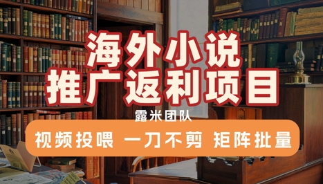 海外小说推广返利项目，视频投喂， 一刀不剪，矩阵批量-驿想项目网