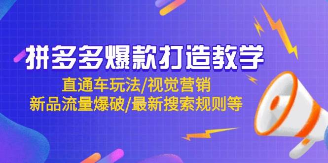 （14681期）拼多多爆款打造教学：直通车玩法/视觉营销/新品流量爆破/最新搜索规则等-驿想项目网