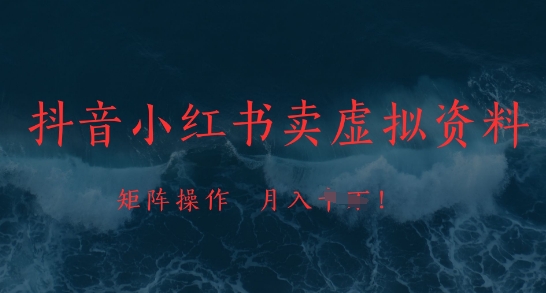 抖音小红书卖虚拟资料，市场需求一直存在，矩阵操作，月入1w+-驿想项目网
