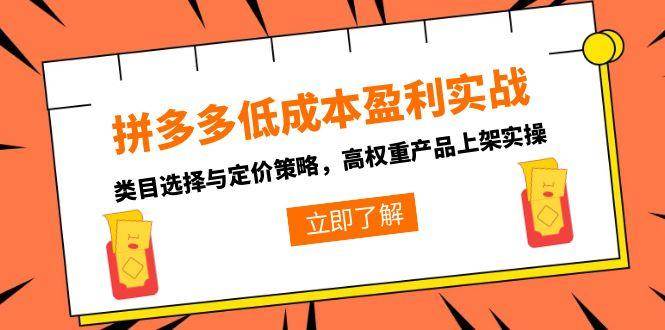 （15143期）拼多多低成本盈利实战，类目选择与定价策略，高权重产品上架实操-驿想项目网