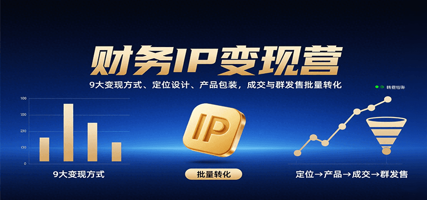 财务IP变现营：9大变现方式、定位设计、产品包装，成交与群发售批量转化-驿想项目网