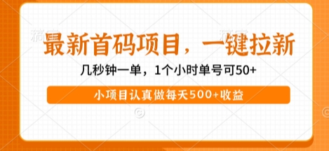 最新首码项目，操作最简单，收益高，一键拉新，1个小时单号可50+，小项目认真做每天5张+收益【揭秘】-驿想项目网